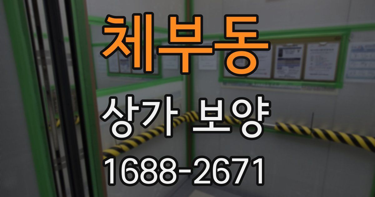 체부동 상가 보양