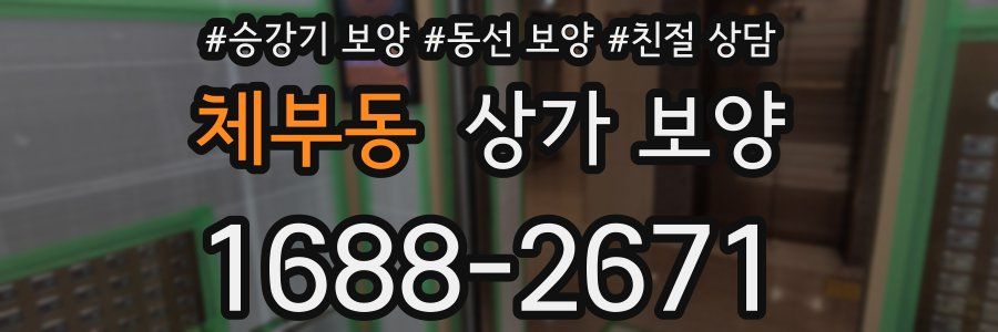 체부동 상가 보양
