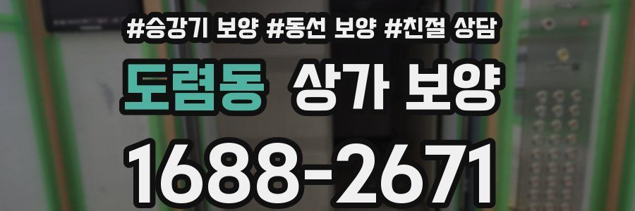도렴동 상가 보양