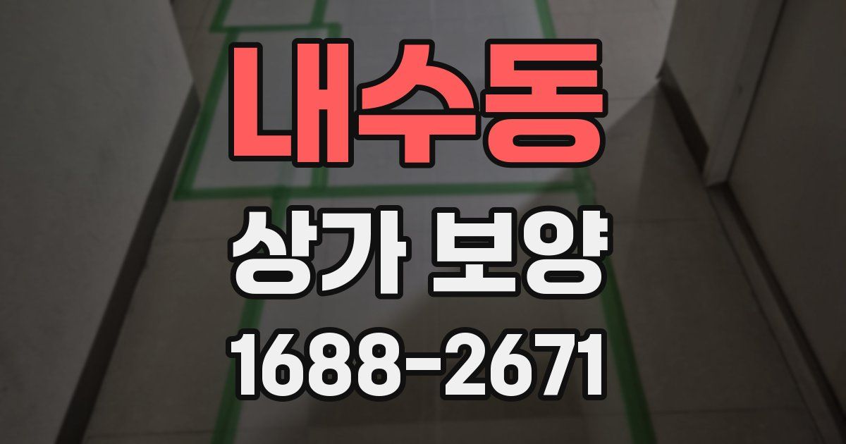 내수동 상가 보양