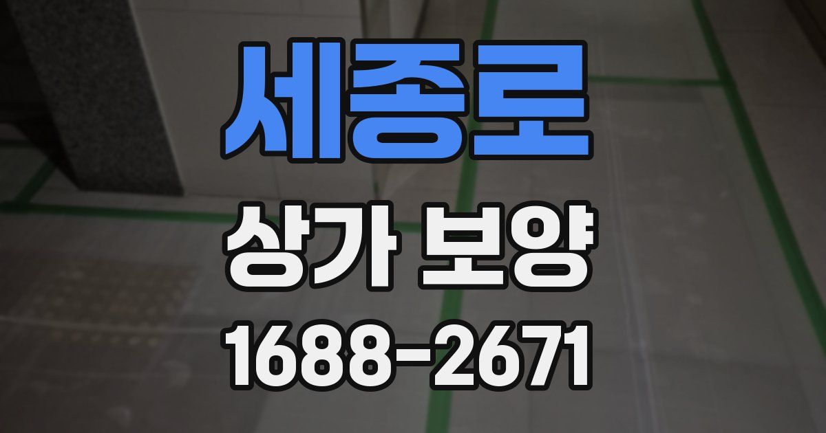 세종로 상가 보양