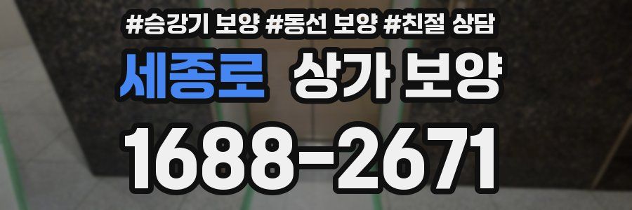 세종로 상가 보양
