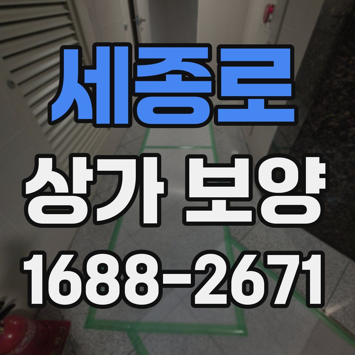 세종로 상가 보양