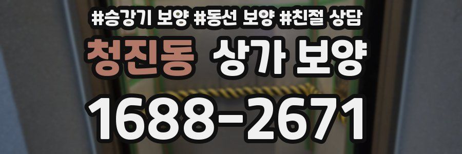 청진동 상가 보양