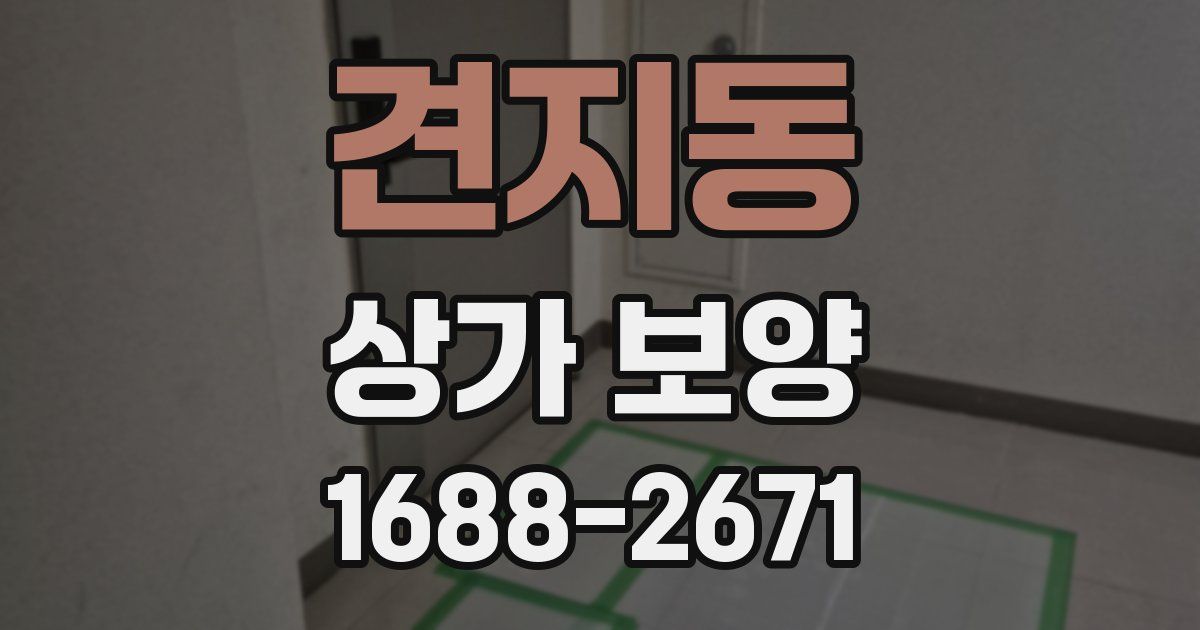 견지동 상가 보양