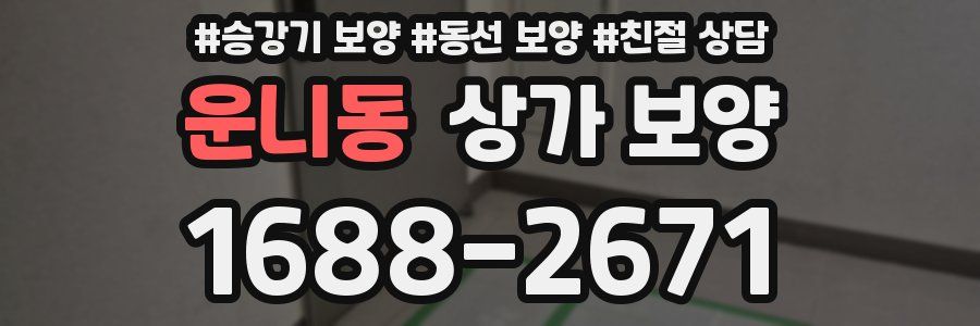 운니동 상가 보양