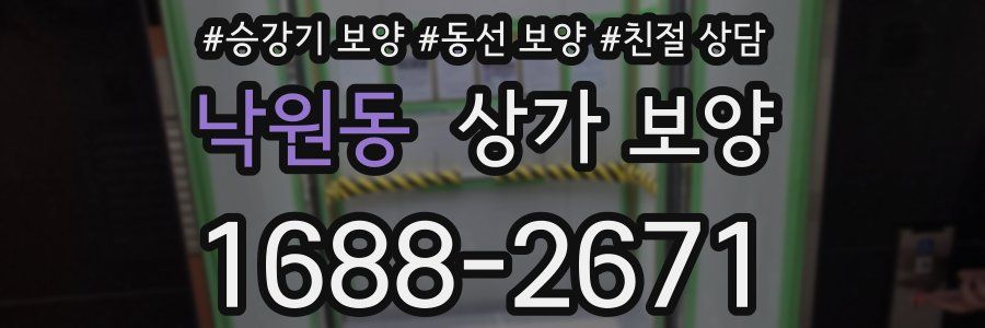 낙원동 상가 보양