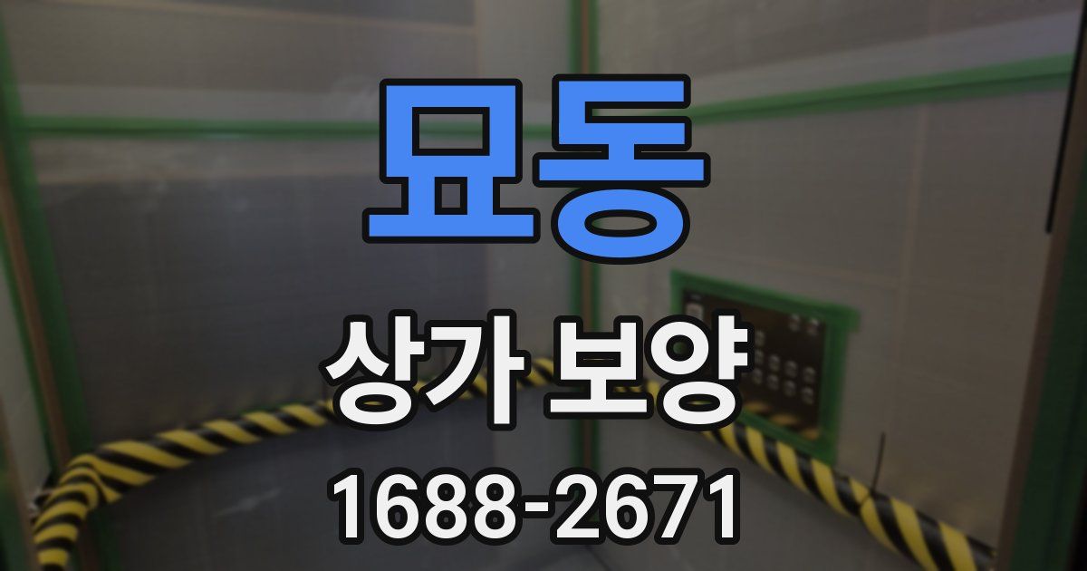 묘동 상가 보양