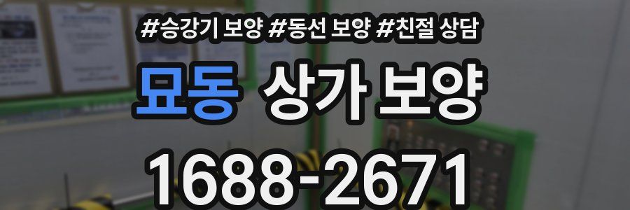묘동 상가 보양