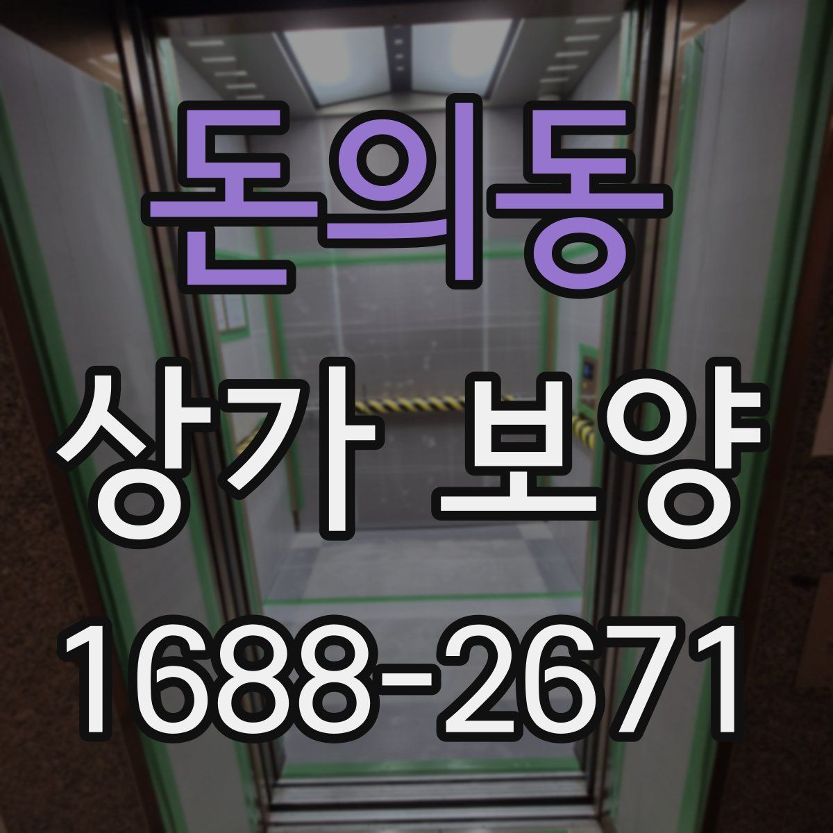 돈의동 상가 보양