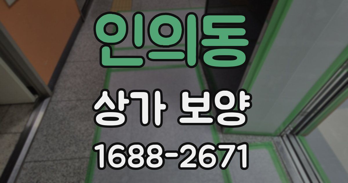 인의동 상가 보양