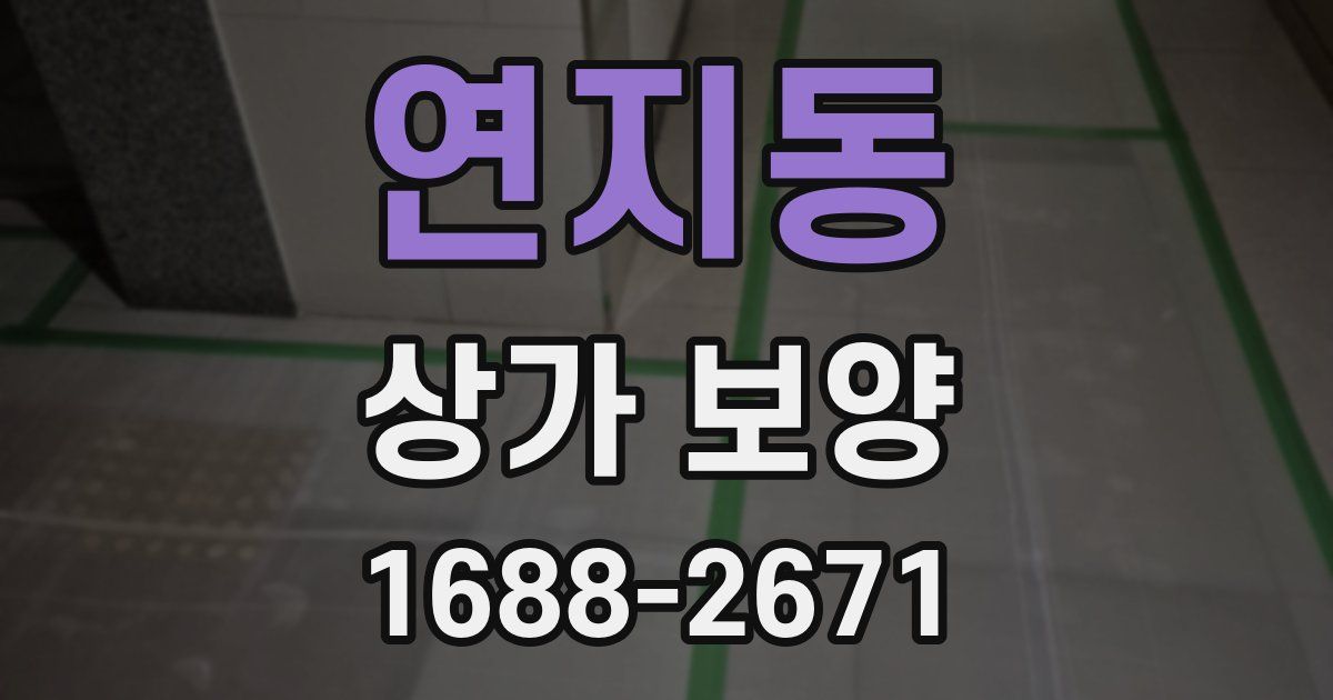 연지동 상가 보양