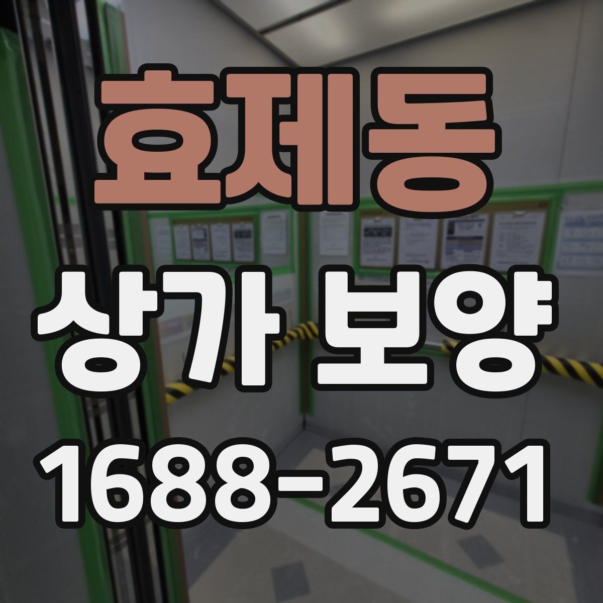 효제동 상가 보양 비용과 품질의 균형 맞추기