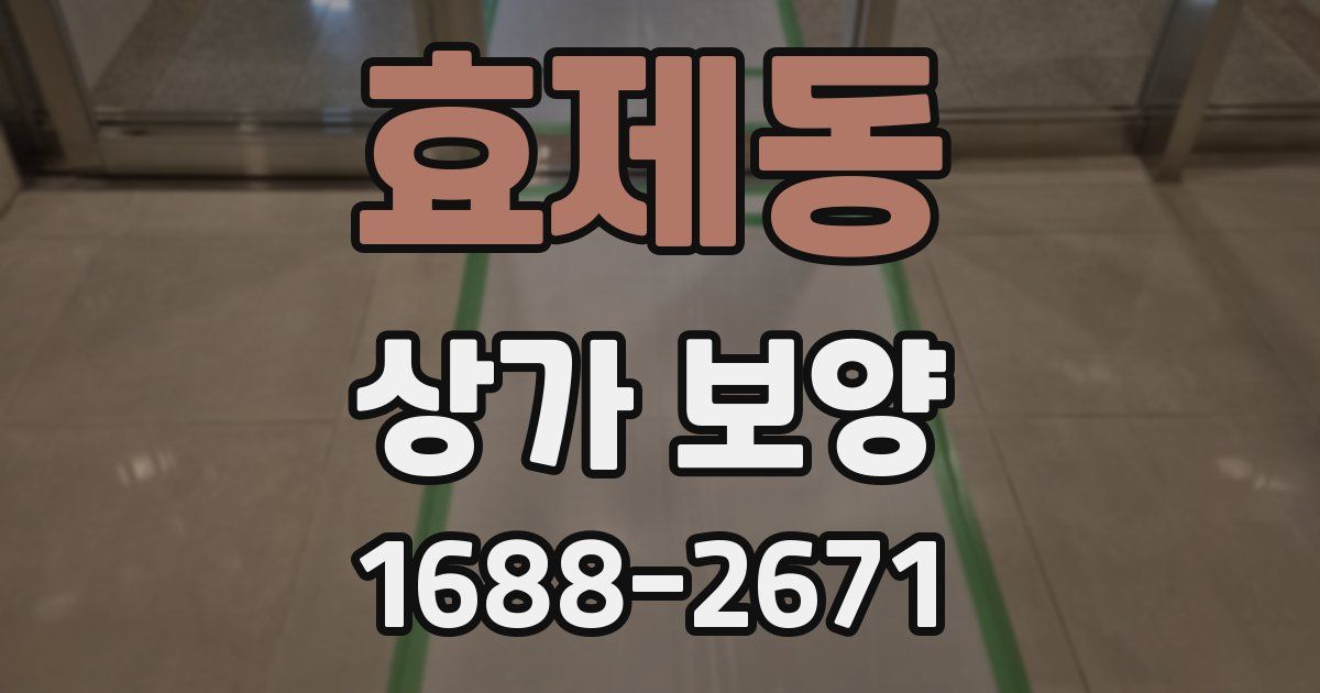 효제동 상가 보양