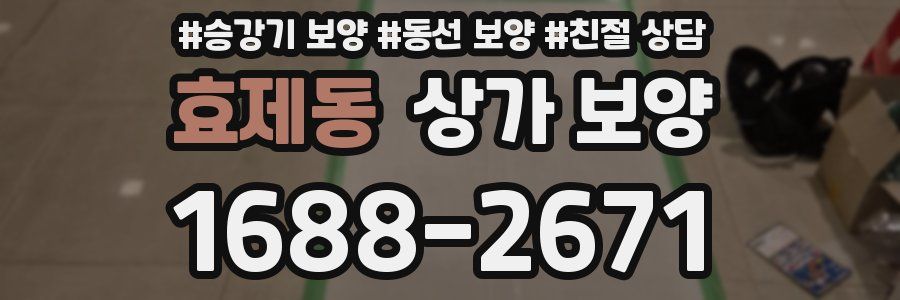 효제동 상가 보양
