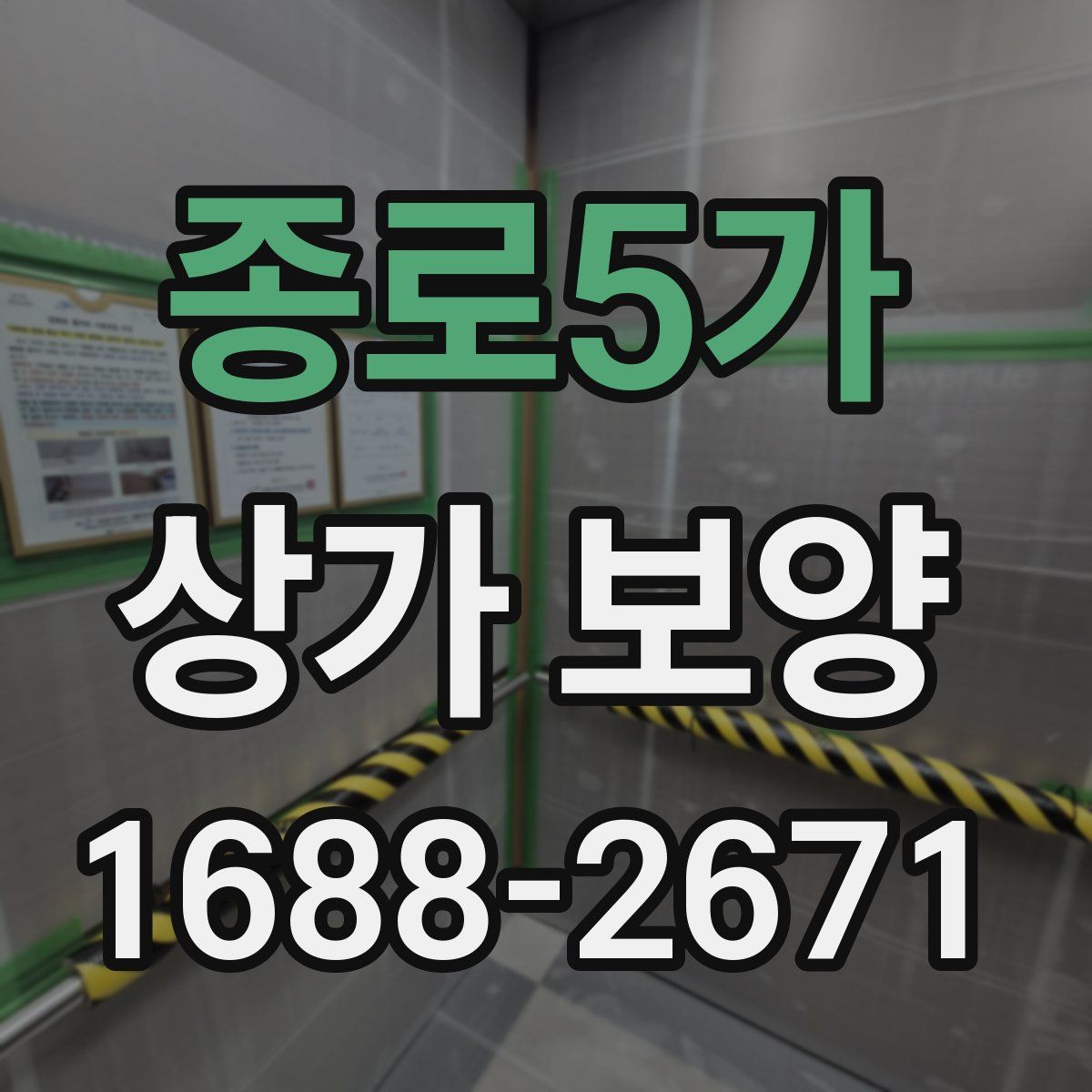종로5가 상가 보양