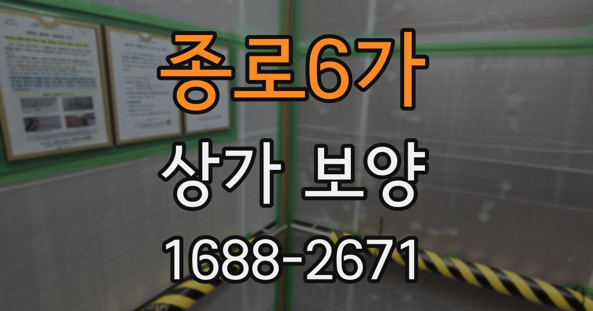 종로6가 상가 보양