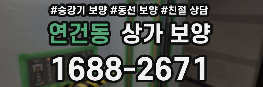 연건동 상가 보양