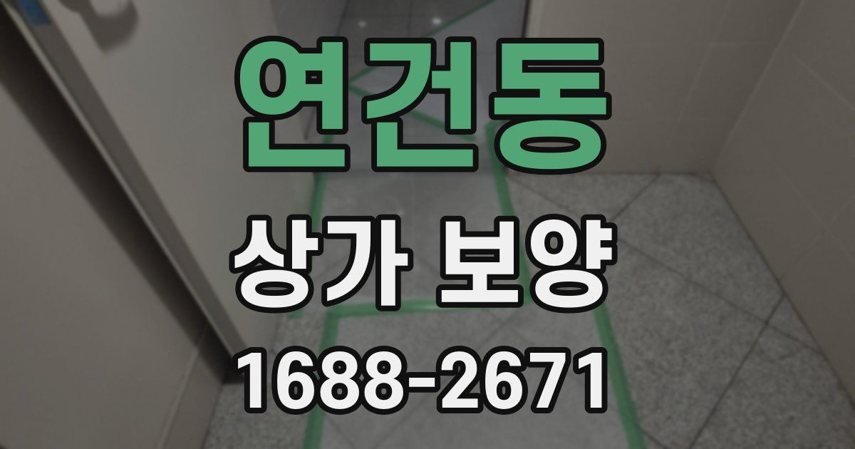 연건동 상가 보양