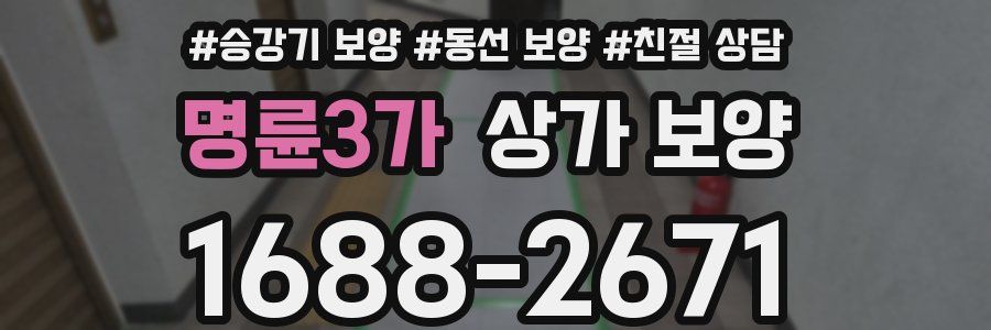 명륜3가 상가 보양