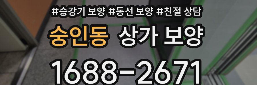 숭인동 상가 보양