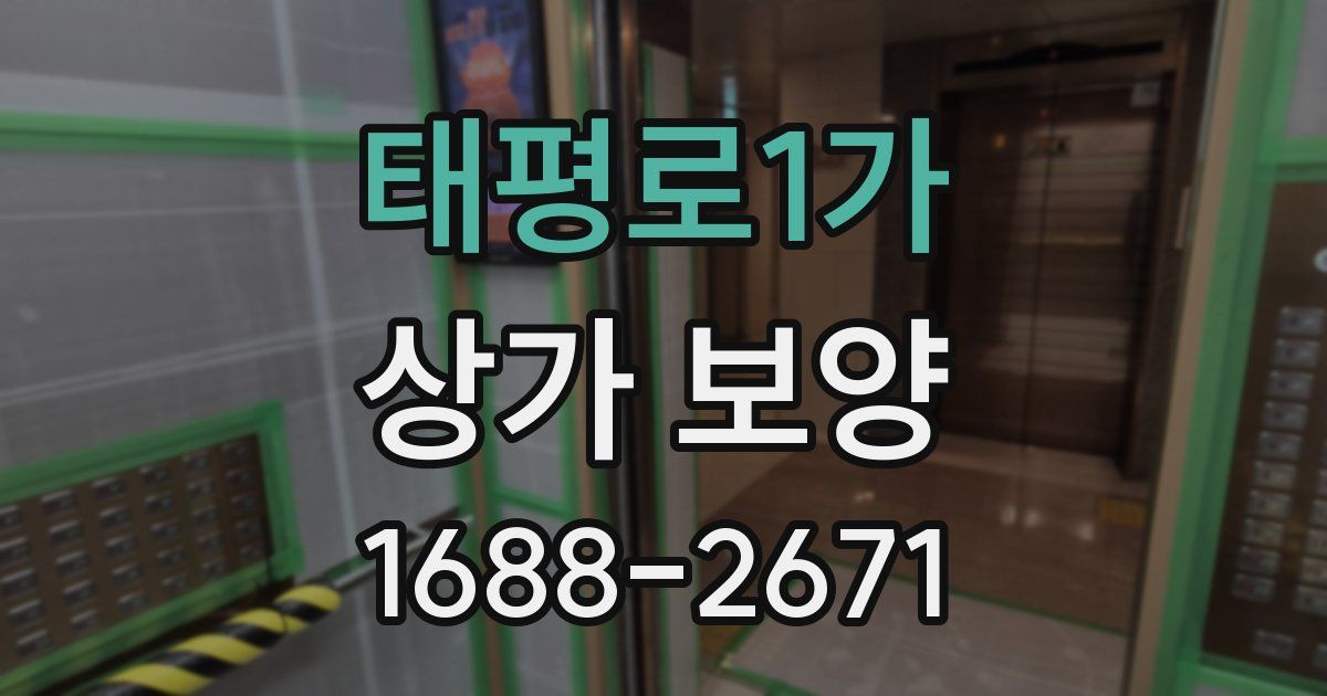 태평로1가 상가 보양
