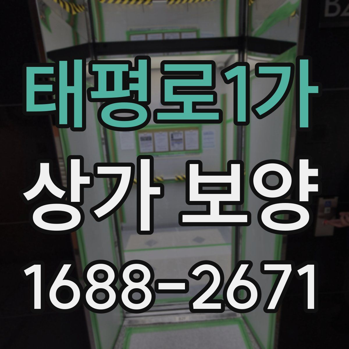 태평로1가 상가 보양
