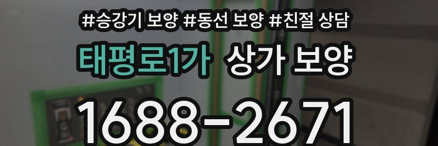태평로1가 상가 보양