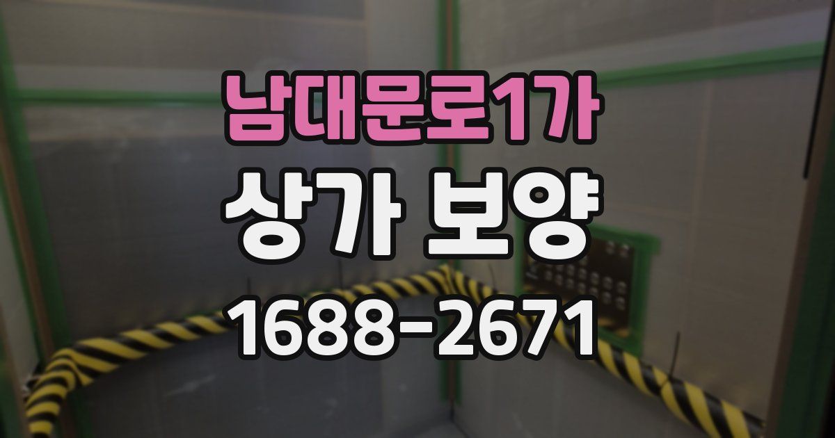 남대문로1가 상가 보양