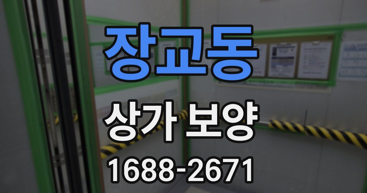장교동 상가 보양