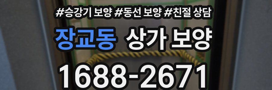 장교동 상가 보양