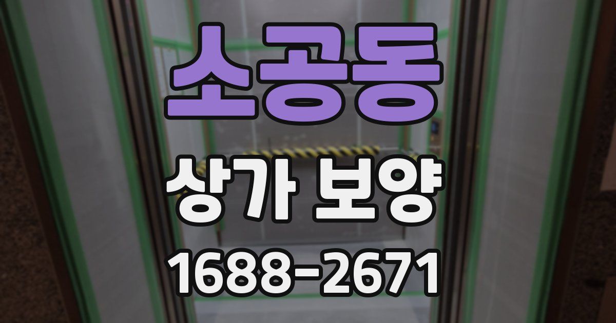 소공동 상가 보양