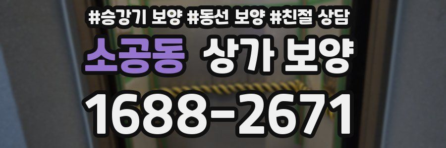 소공동 상가 보양