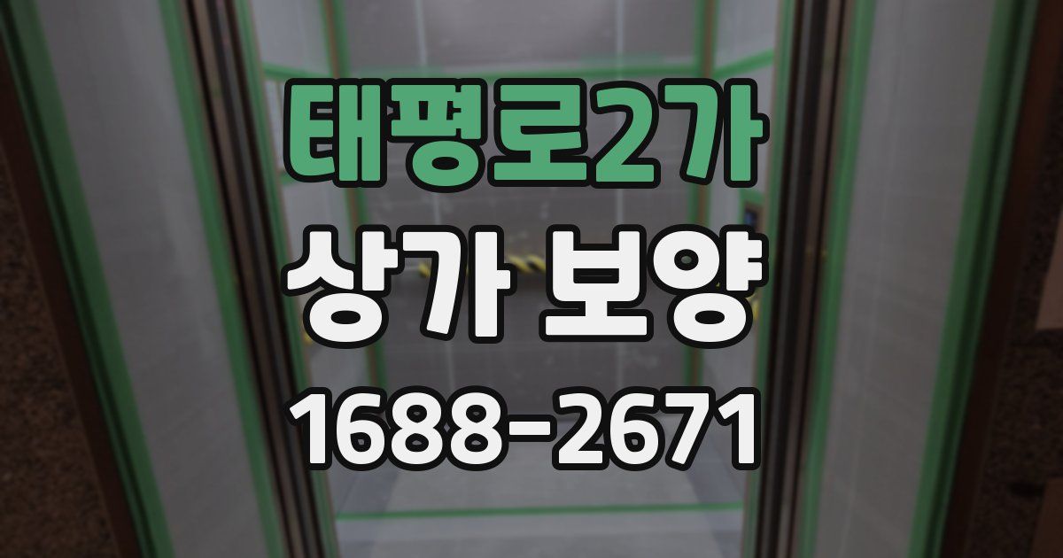 태평로2가 상가 보양