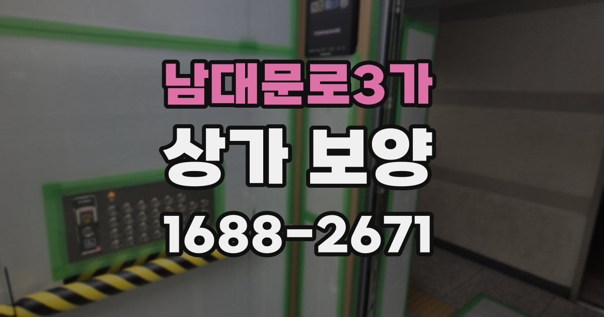남대문로3가 상가 보양