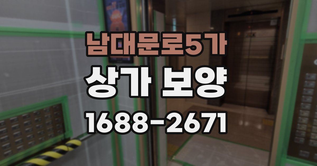 남대문로5가 상가 보양