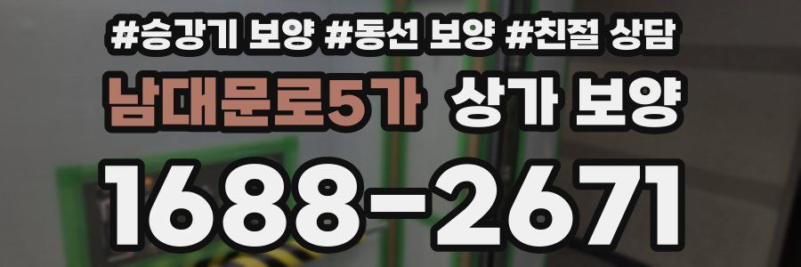 남대문로5가 상가 보양