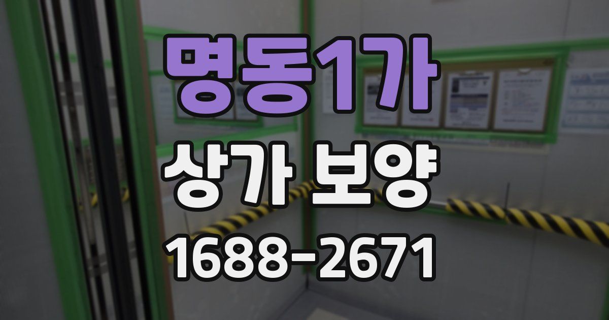 명동1가 상가 보양