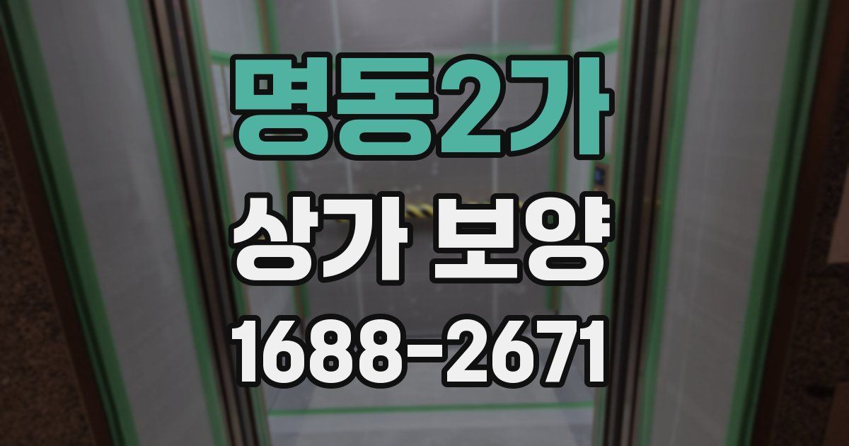 명동2가 상가 보양
