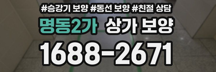 명동2가 상가 보양