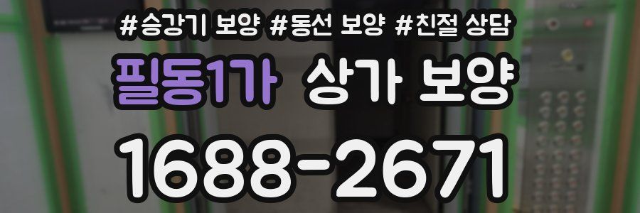 필동1가 상가 보양