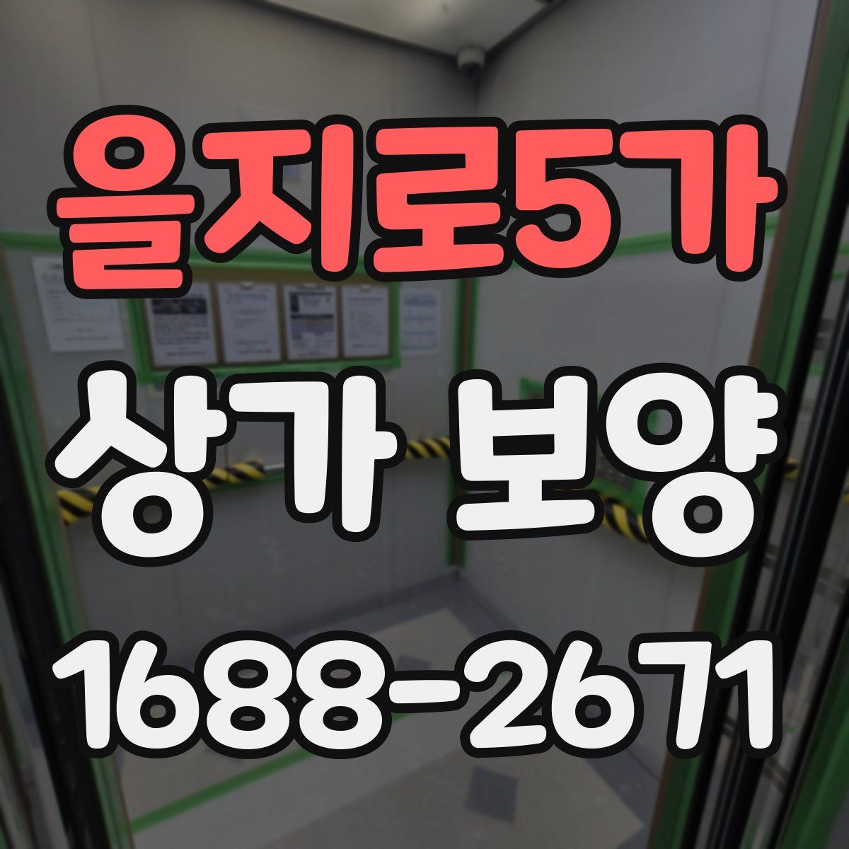 을지로5가 상가 보양