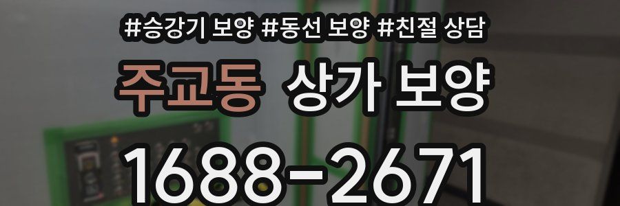 주교동 상가 보양