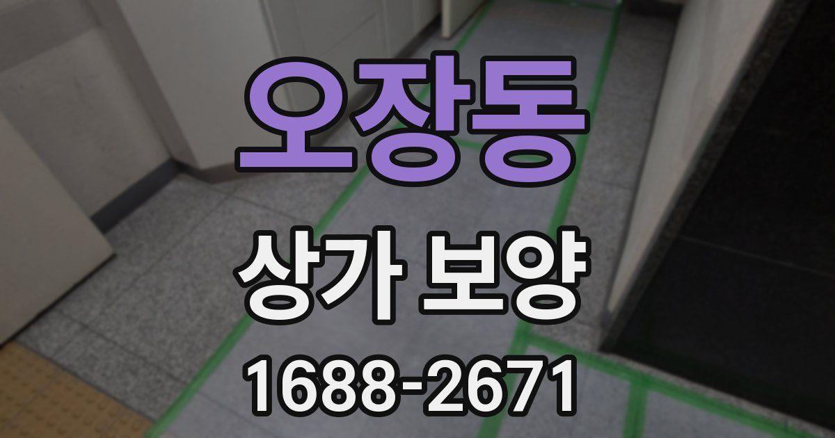 오장동 상가 보양
