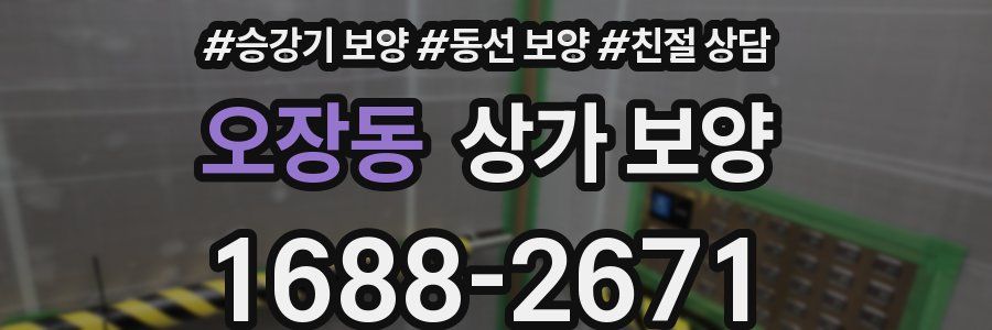 오장동 상가 보양