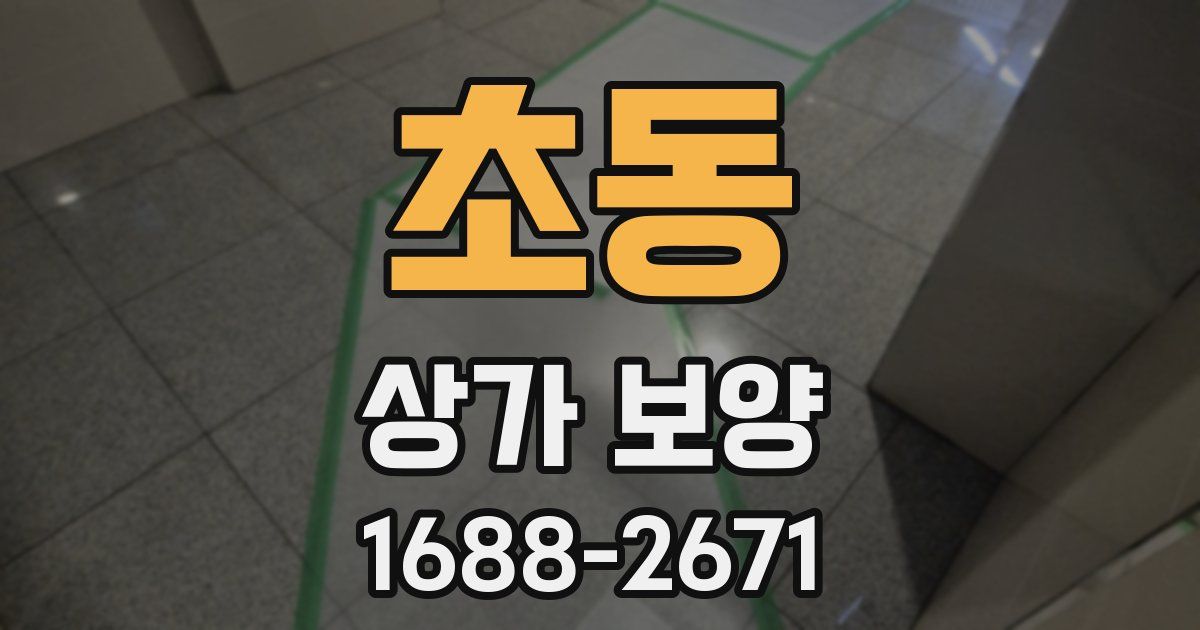 초동 상가 보양