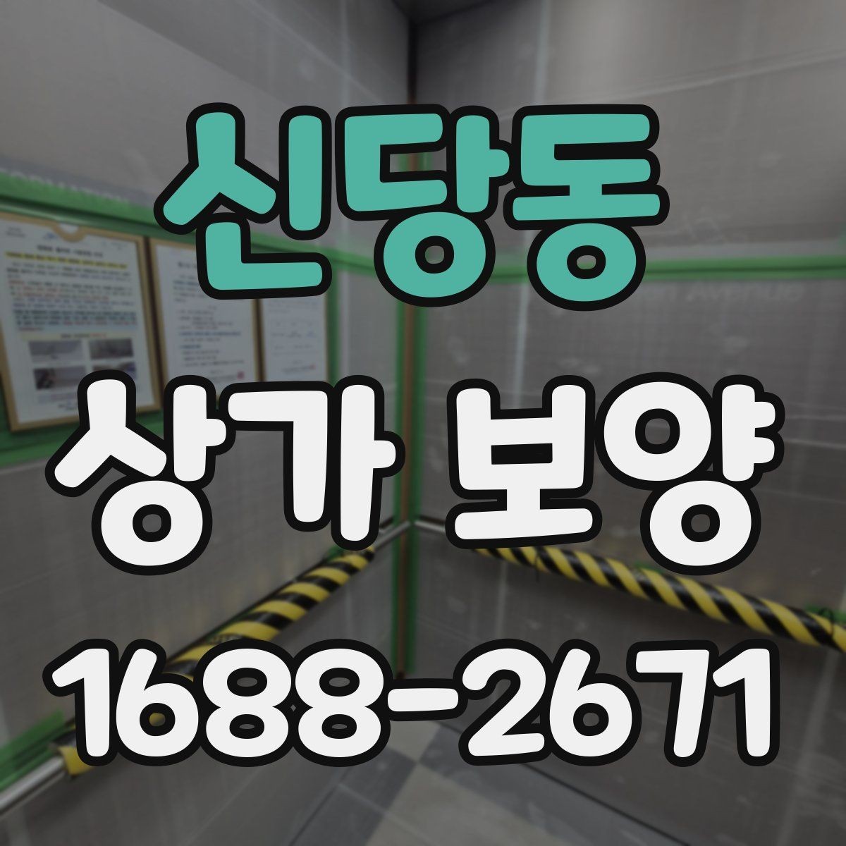 신당동 상가 보양 공사에서 보호 구역을 나누는 방법