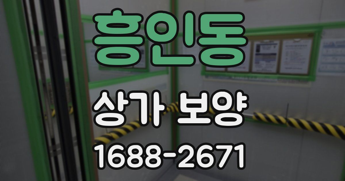 흥인동 상가 보양