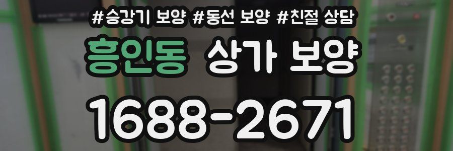 흥인동 상가 보양