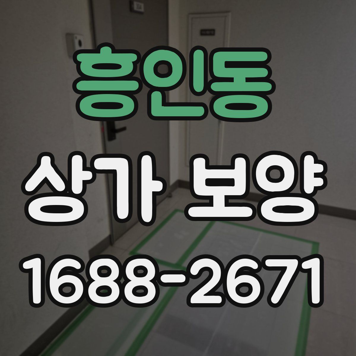 흥인동 상가 보양